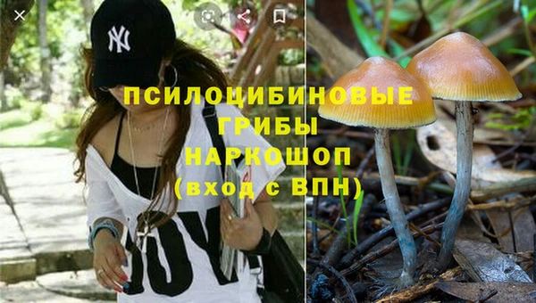 каннабис Арсеньев